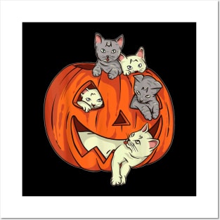 Cats Pumpkin Jack O Lantern Cat Halloween Costume Kids Girls Posters and Art